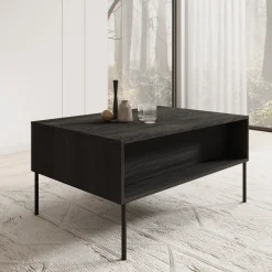 Timoteo - Salontafel met opbergruimte - Zwart - 100x70x50 cm
